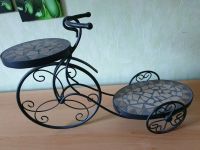 Gußeisen Fahrrad❣Blümen STÄNDER Deko❣NOSTALGIE SHABBY❣w.NEU Niedersachsen - Hessisch Oldendorf Vorschau