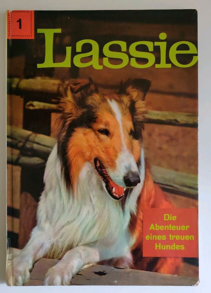 Lassie Die Abenteuer eines treuen Hundes Fersehserie in Weimar