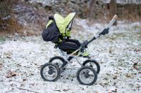 Naturkind Kinderwagen TERRA plus mit Nest und Lammfell Baden-Württemberg - Weissach Vorschau