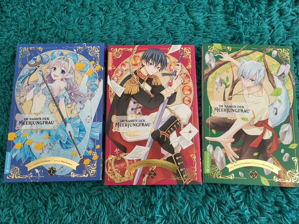 Manga Anime Bücher, Sammlung Auflösung, Schnäppchen! in Erbendorf