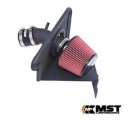 MST Intake 2011-15 Hyundai Elantra 1.8L/2.0L (HYN-EL18) Bayern - Langquaid Vorschau