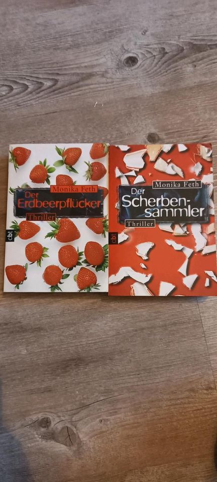 Verschiedene Thriller je 1 Euro in Gauerbach