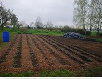 Microfarming/ Tiny-farms, Verpachtung Acker, Gewächshäuser Sachsen - Pirna Vorschau