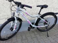 Jugend / Damen Mountainbike KTM 27,5 Zoll Rahmengröße S Bayern - Zwiesel Vorschau