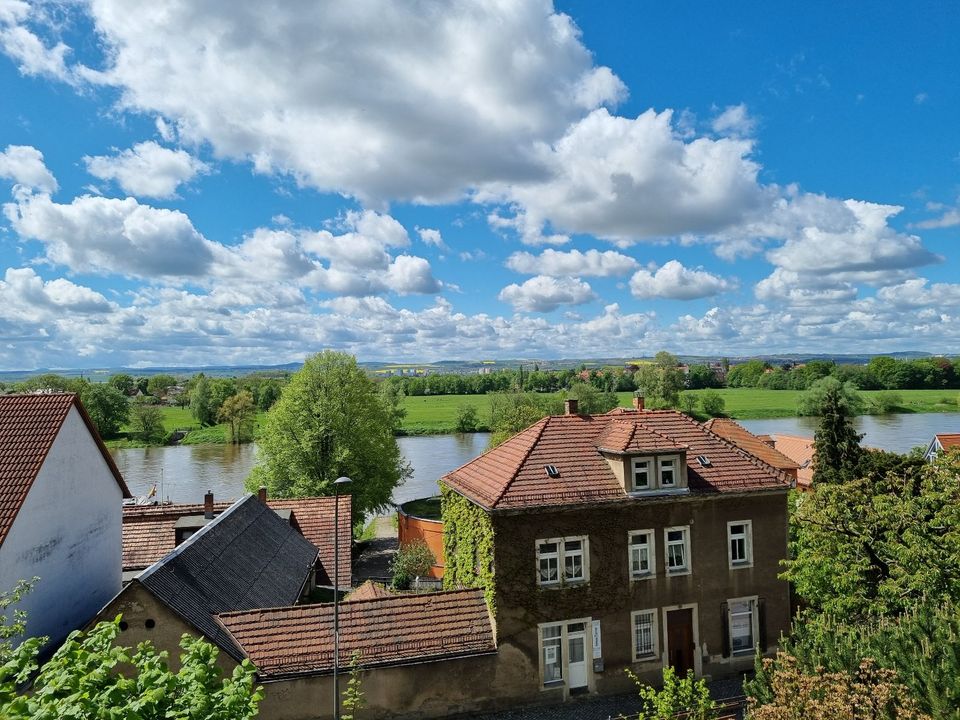 FeWo am Elbhang Dresden Elbe Altwachwitz Loschwitz in Dresden