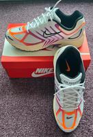 Neue NIKE AIR PEGASUS 2005 Sportschuhe Größe 46 - US 12 Herren Schleswig-Holstein - Großhansdorf Vorschau