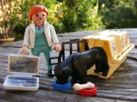 PLAYMOBIL 4317 Tierärztin mit Hund Transportbox für Flugzeug Niedersachsen - Bippen Vorschau