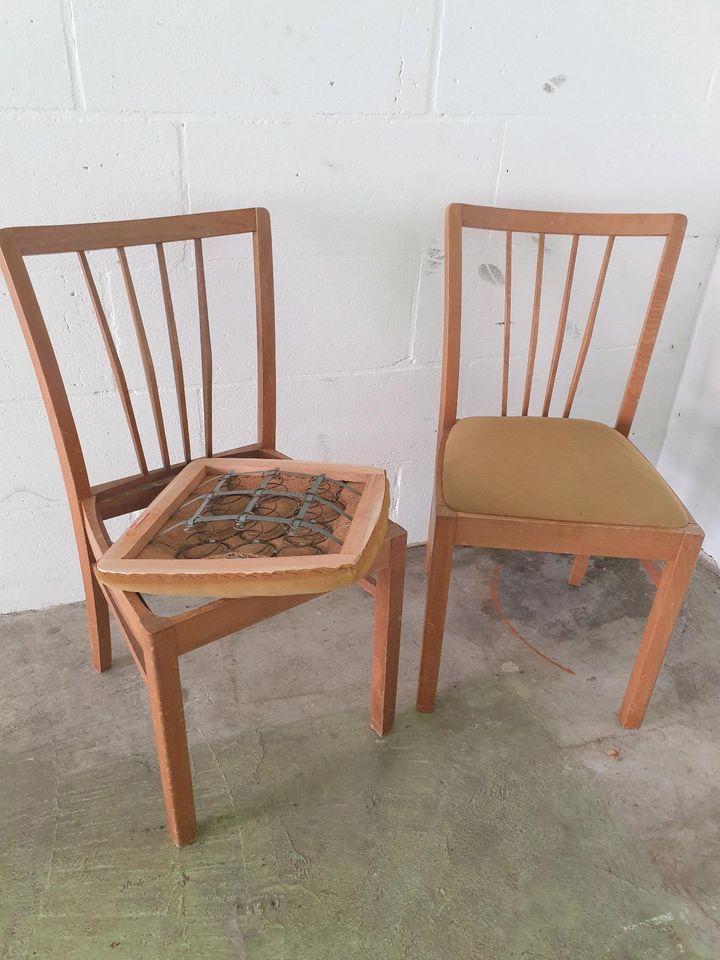 2 Stühle, sehr gut erhalten,  original Mid Century in Schloß Holte-Stukenbrock