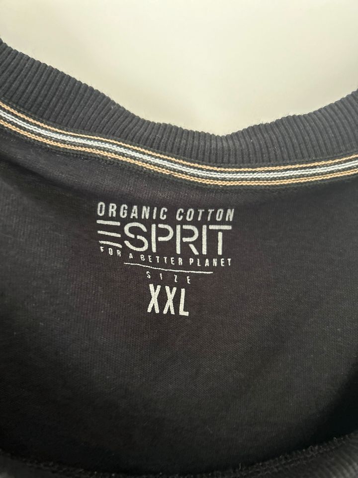 Esprit Longsleeve Langarmshirt Gr. XXL in Meßstetten