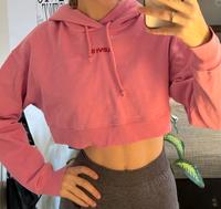Levi’s Pullover Pink Sachsen-Anhalt - Weferlingen Vorschau