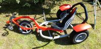 Berg Balance Bike Liegerad Gocard Kettcar Niedersachsen - Wietzendorf Vorschau