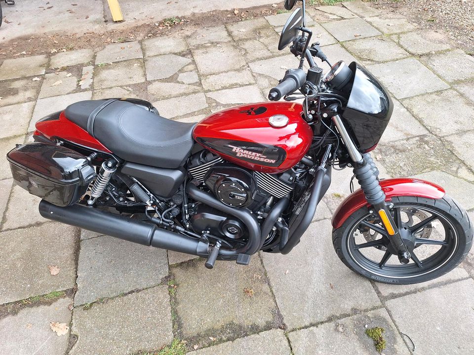 Harley Davidson Street 750 in Kaltenkirchen