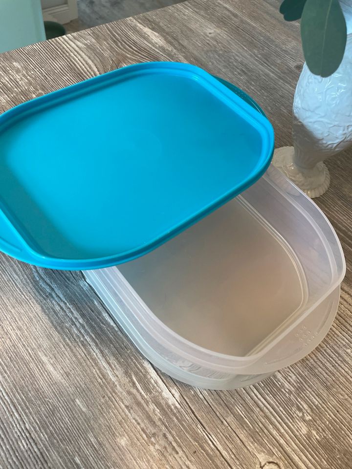 Tupperware Frischekabinett in Schifferstadt