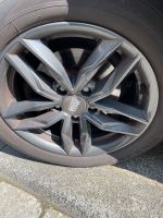 Tayo Felgen und Reifen für Skoda Octavia R16 Nordrhein-Westfalen - Hagen Vorschau