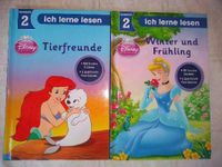 Ich lerne lesen, Disneys Prinzessinnen,2 Bücher zusammen, Tierfre Bayern - Ellingen Vorschau