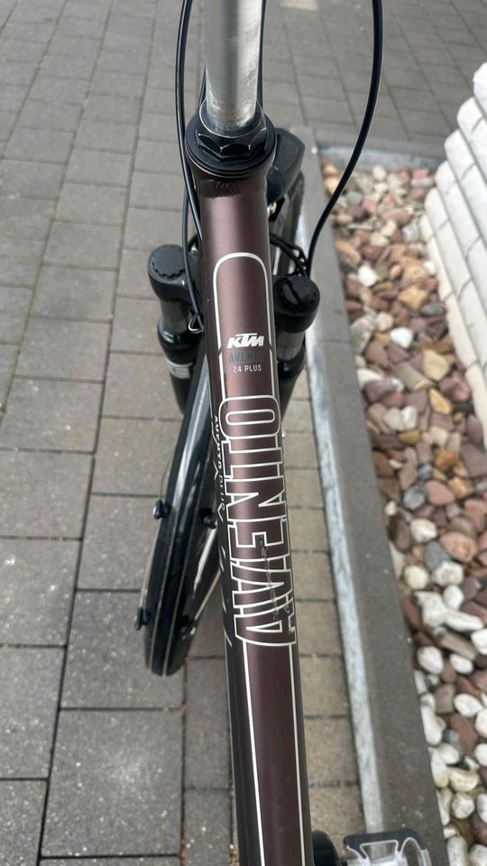 28" Damen Fahrrad KTM Avento 24 Plus in Paderborn