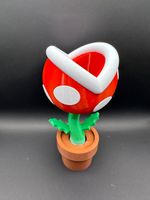 Super Mario Blumen-Vase Rheinland-Pfalz - Niederdreisbach Vorschau