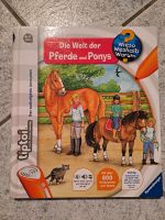 neuwertiges Buch "Pferde und Ponys" von Ravensburger für TipToi Nordrhein-Westfalen - Dülmen Vorschau