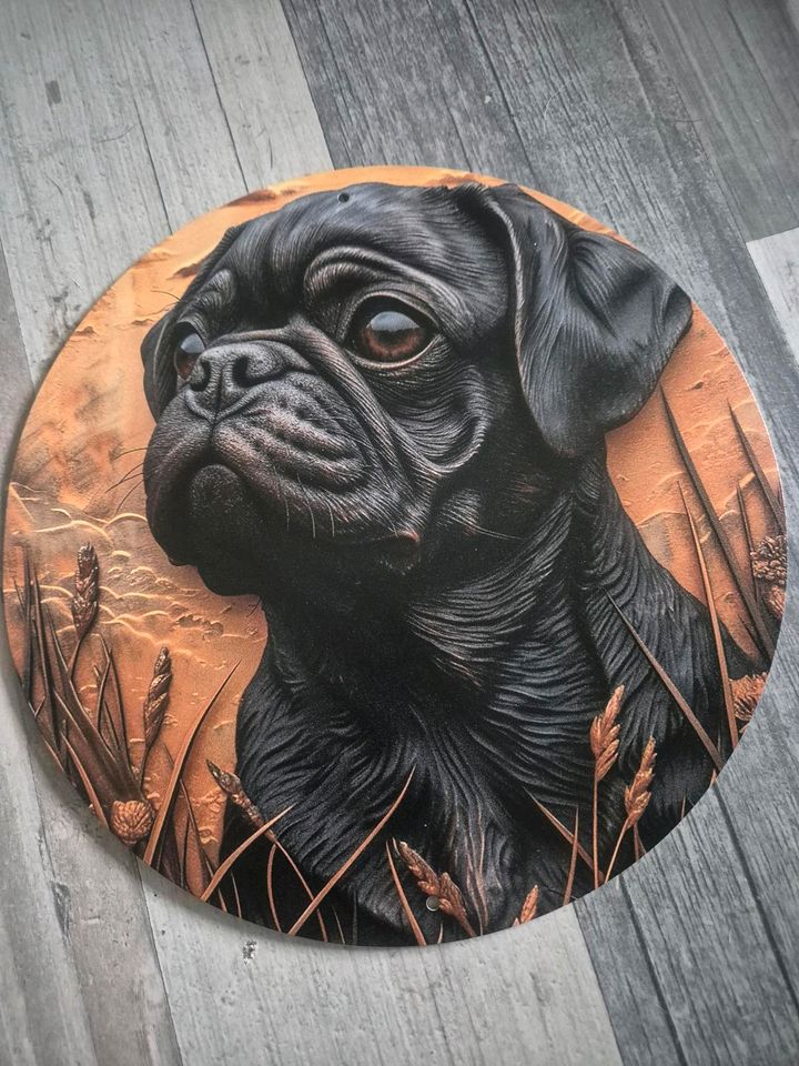 3D Metallschild Mops pug hund bulldogge in Staßfurt