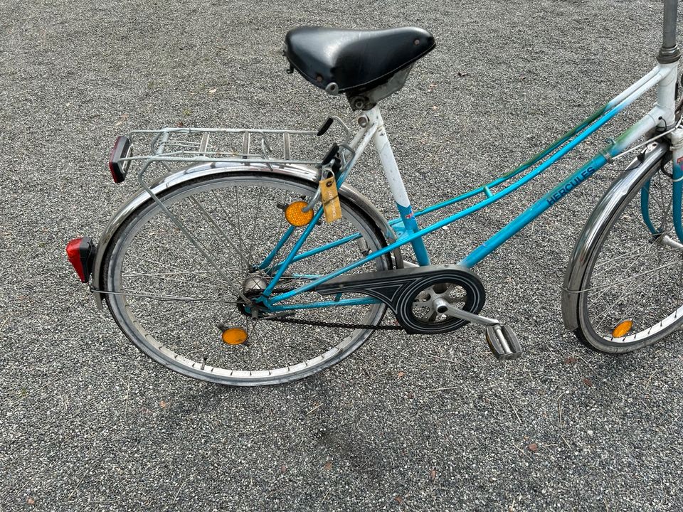 Fahrrad Herkules in Grasberg