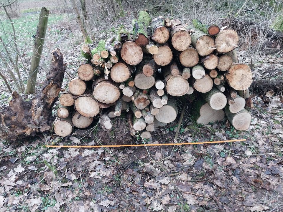 1,2 Festmeter Holz Brennholz Nadelholz Hartholz 1m Stücke gesägt in Linsengericht