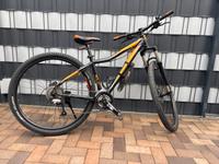 Kellys vanity 70 KLC Damenfahrrad, MTB, Mountainbike Nordrhein-Westfalen - Menden Vorschau