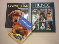 Hunde Bücher Sachsen - Freiberg Vorschau
