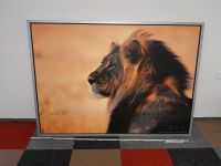 Bild (100cm ×140cm) von einem Löwe Nordrhein-Westfalen - Brühl Vorschau