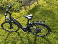 E-Bike Pegasus Premio Evo 10 lite Tiefeinsteiger Nordrhein-Westfalen - Wesel Vorschau