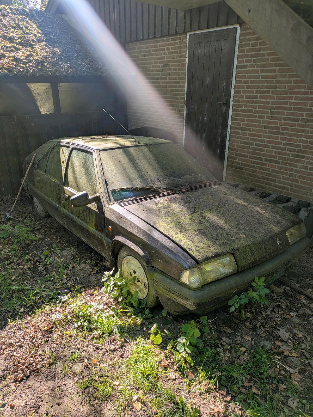 Abbildung des Autos Citroen BX 19