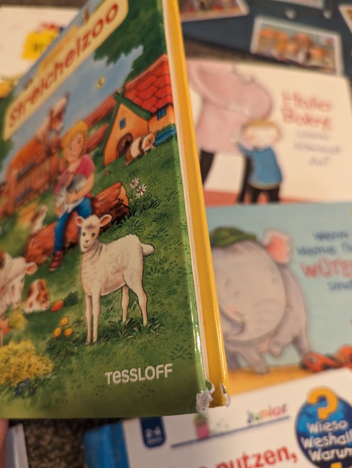 Kinderbücher von 18Mt - 3 Jahre in Nittendorf 