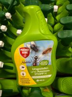 .Pflanzenschutzmittel Ungeziefer-& Ameisen Stopp 800ml MHD 4/23 Niedersachsen - Hemslingen Vorschau
