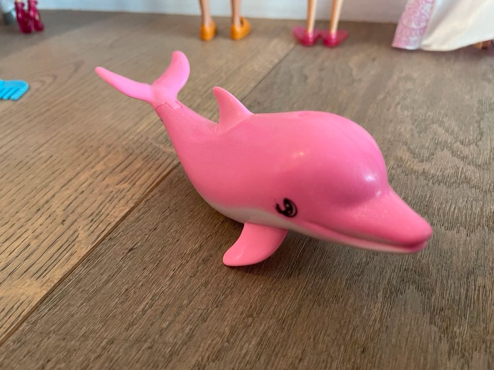 Barbie 9 Puppen Kiste Hocker Disney Princess +Pferd Delfin Hund in Saarbrücken