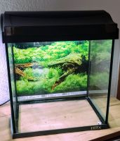 Aquarium Nano Tetra Aqua Art 30l Sachsen-Anhalt - Bad Schmiedeberg Vorschau