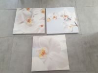 Bilder auf Leinwand Orchideen 56x57 cm Bayern - Karlsfeld Vorschau