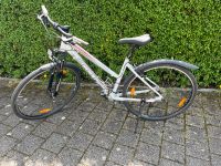 Trekking Fahrrad Marke Scott Baden-Württemberg - Rheinfelden (Baden) Vorschau