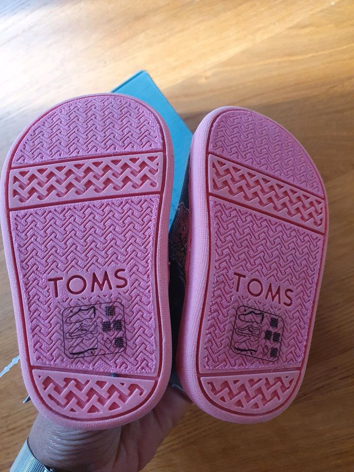 Toms Baby Schuhe Größe 19,5 NEU OVP Rockband Print Mädchen in Stuttgart