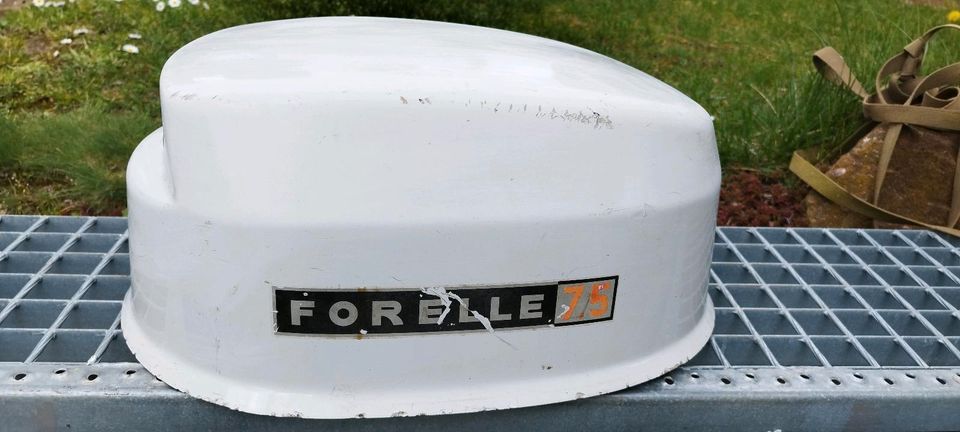 Forelle 7,5 Motorhaube in Zabenstedt