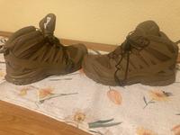 Salomon XA Forces Wanderschuhe Geländeschuhe NEU Gr. 40 Hessen - Heppenheim (Bergstraße) Vorschau