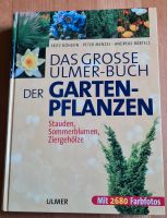 Gartenpflanzen  Lexikon Ulmer Bayern - Bamberg Vorschau