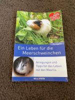 Buch Heft Ein Leben für die Meerschweinchen Nordrhein-Westfalen - Kempen Vorschau