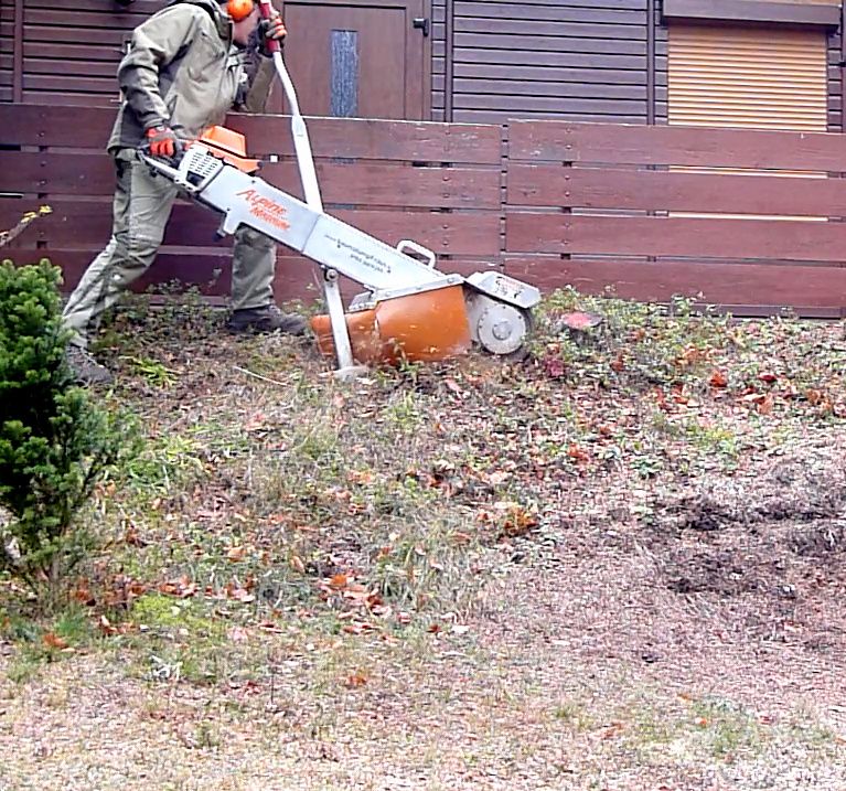 Stubbenfräsen Baumstumpf entfernen Wurzel fräsen in Bad Brambach