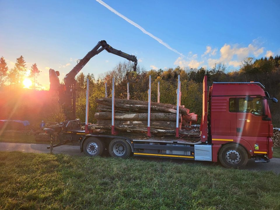 Brennholz, Buche 40-75cm BHD, Gute Qualität in Albstadt