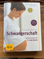 Das große Buch zur Schwangerschaft, Baby Nachwuchs Baden-Württemberg - Dogern Vorschau