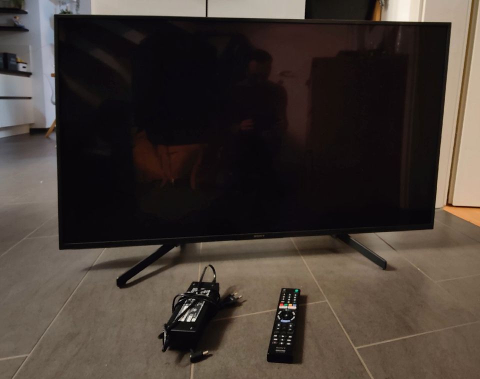 Fernseher, Display deffekt - Sony KD 49XG7005 in Hildesheim
