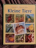 Kinderbuch Natur Buch Kleine Tiere Bilderbuch Biologie Tierwelt Nordrhein-Westfalen - Jüchen Vorschau