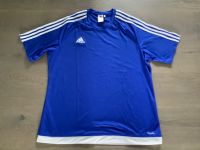 Diverse Adidas Herren Sport/Lauf Shirt XL Baden-Württemberg - Grenzach-Wyhlen Vorschau