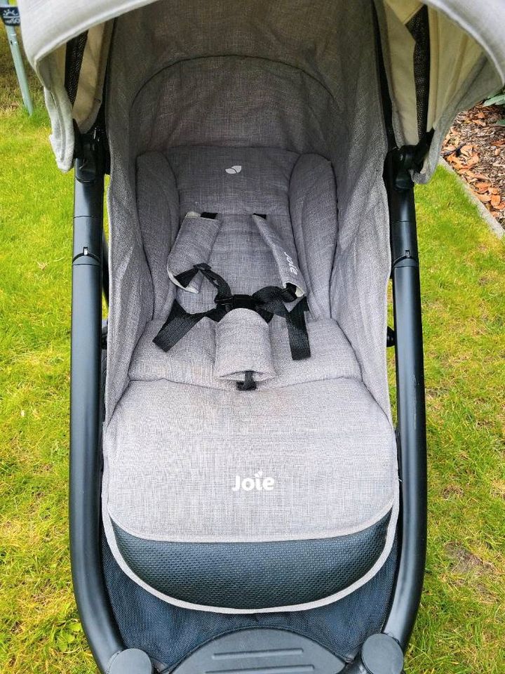 Buggy Joie Mytrax Flanell grau in Hockenheim