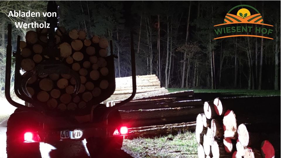 Dienstleistung Holzrücken, Holztransport, Rückewagen, Seilwinde in Eschenbach