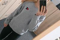 Champion Sweater Sachsen-Anhalt - Zeppernick Vorschau